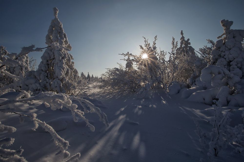 Photograph by Евгения Левина