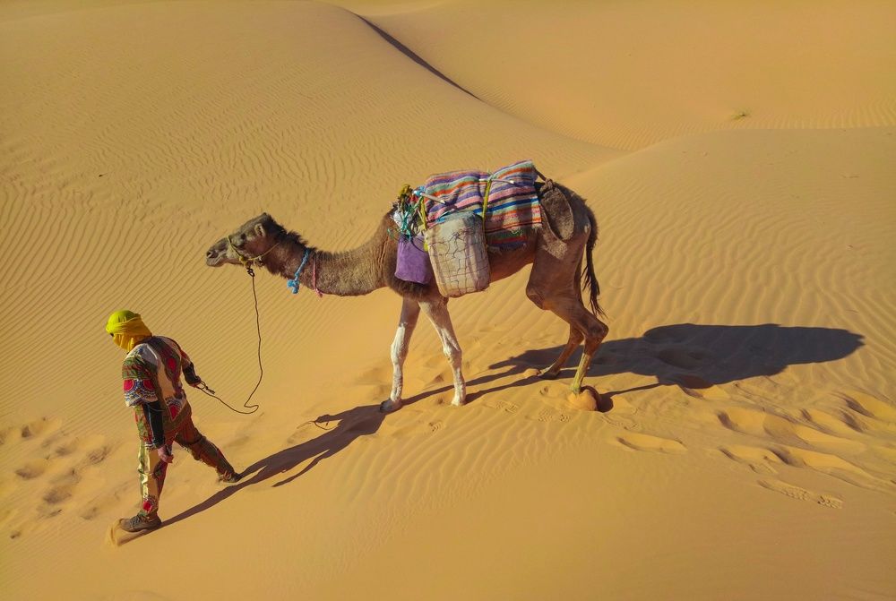 Photograph by Douila Abdelghani