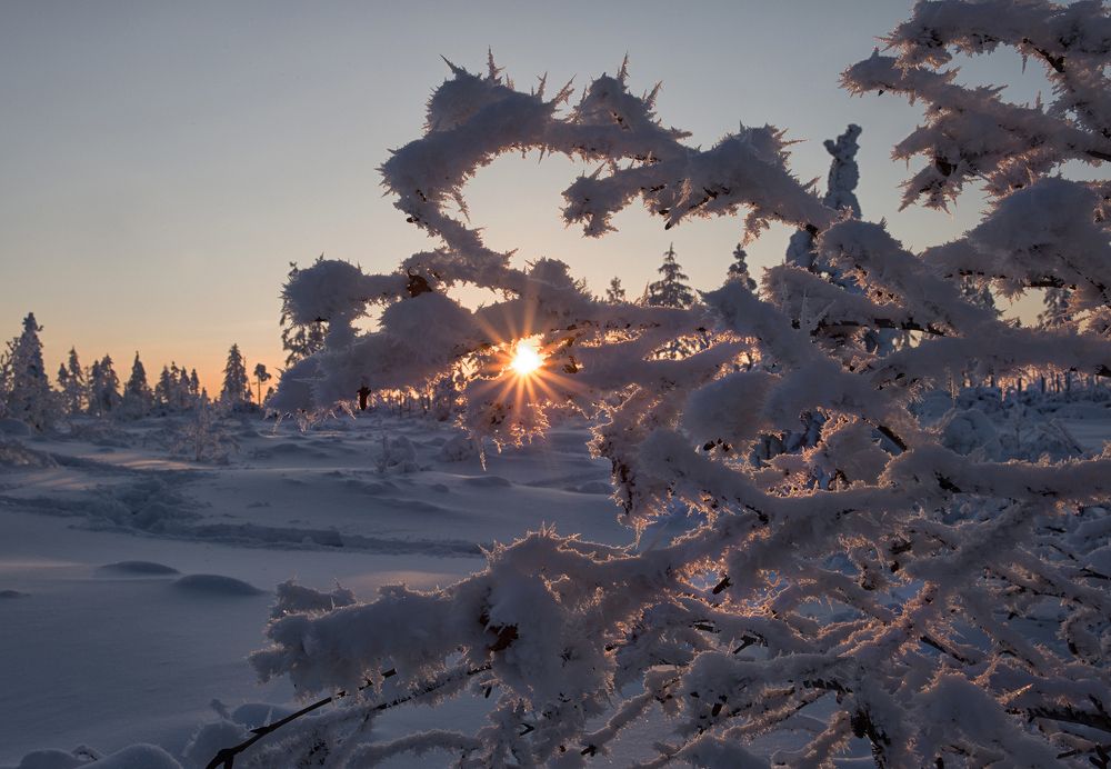 Photograph by Евгения Левина