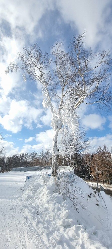 Photograph by Наталья Налобина