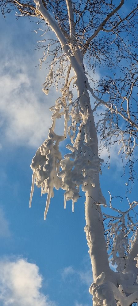 Photograph by Наталья Налобина