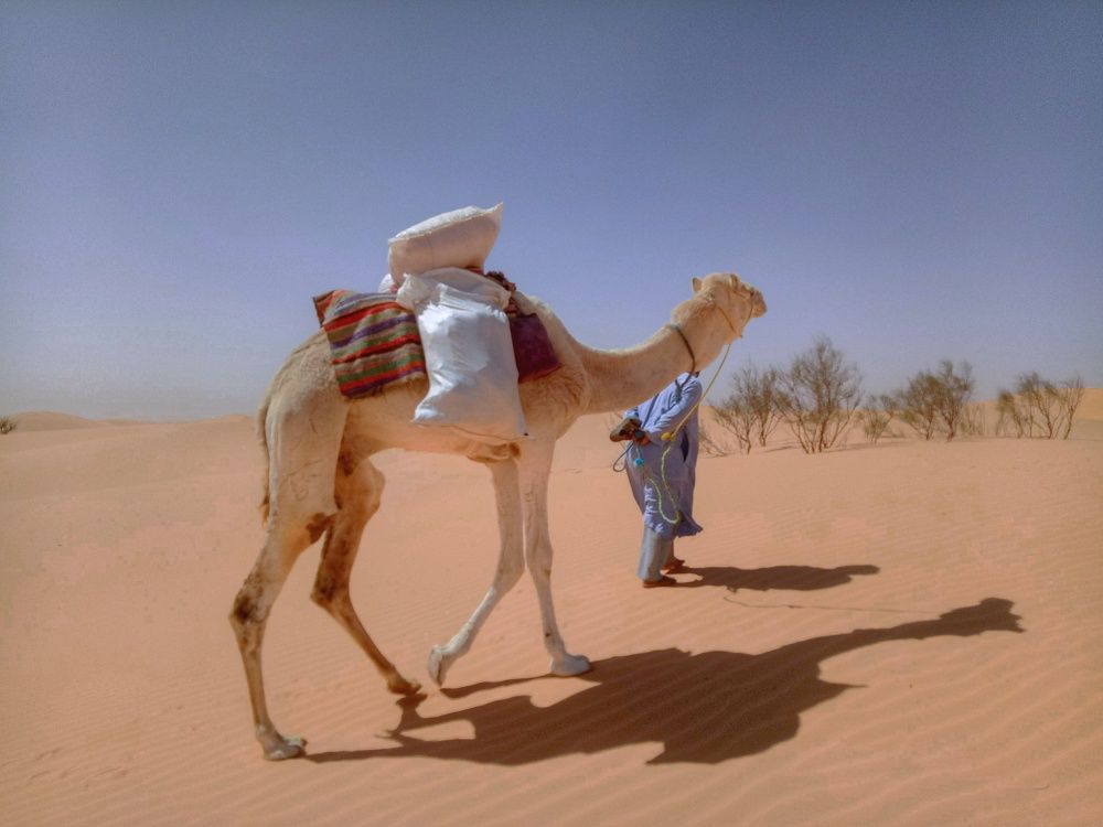 Photograph by Douila Abdelghani