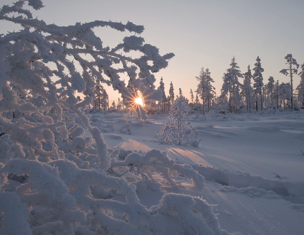 Photograph by Евгения Левина