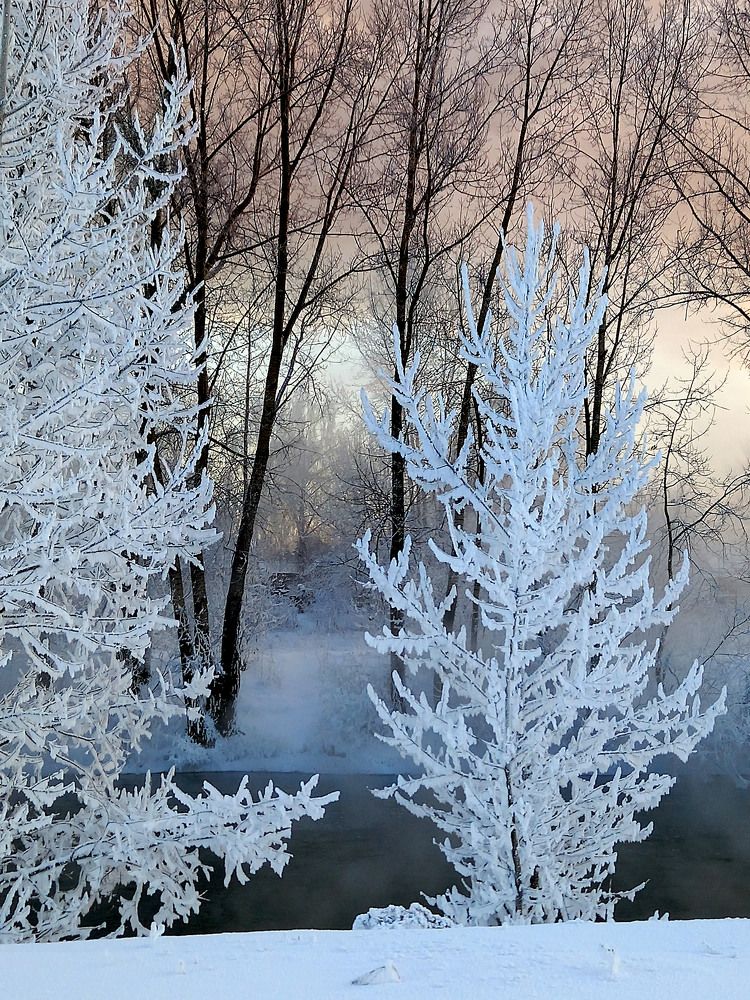 Фотография автора Любовь Харина