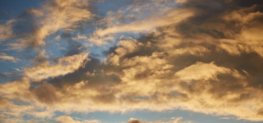 Фотография автора Андрей Челомов