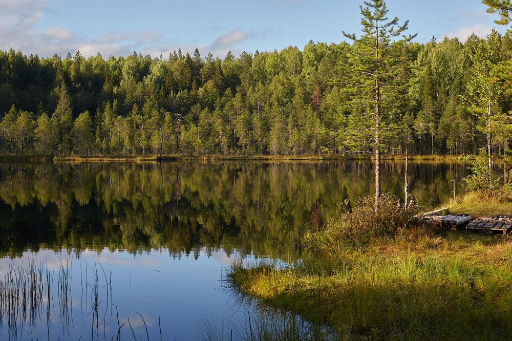 Фотография автора Андрей Челомов