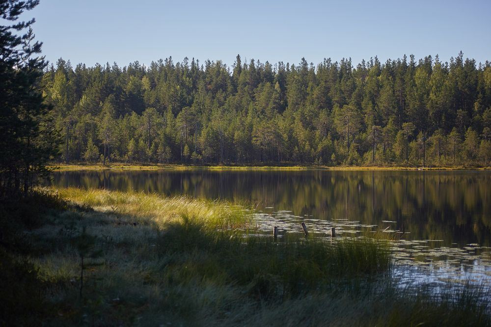 Фотография автора Андрей Челомов