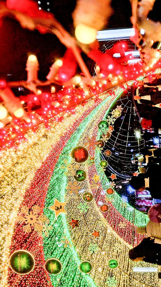 Photograph by Nguyen Long