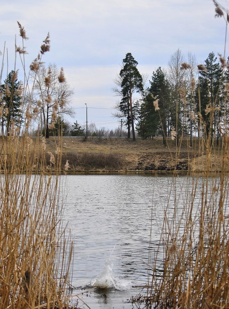 Фотография автора Альбина Хвастунова