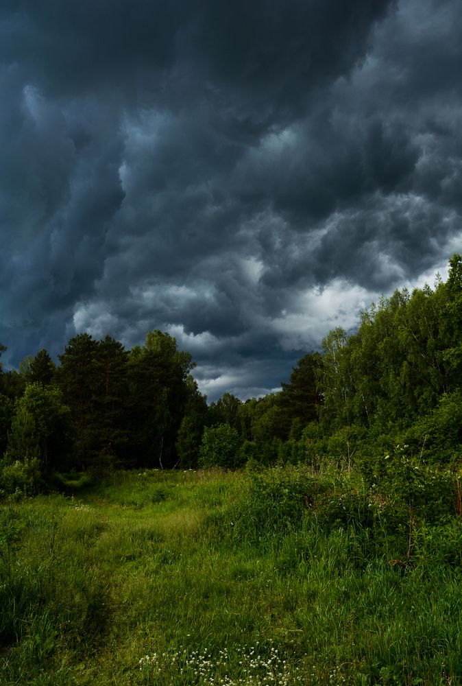 Photograph by Ирина Киевская