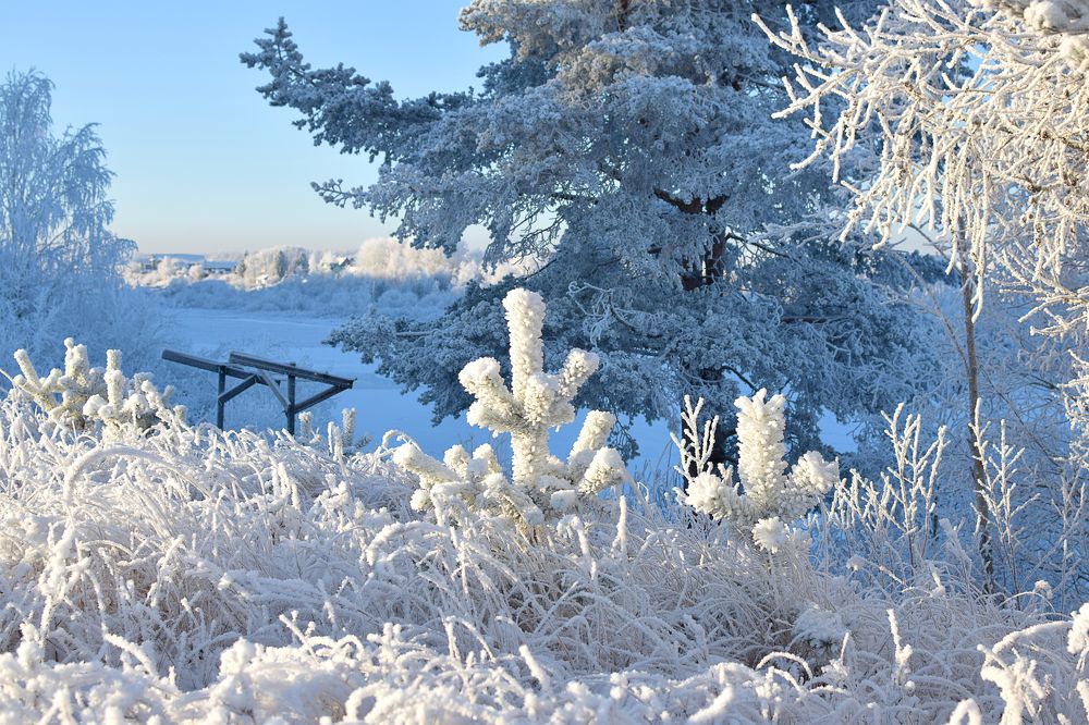 Фотография автора Оксана Льдинина