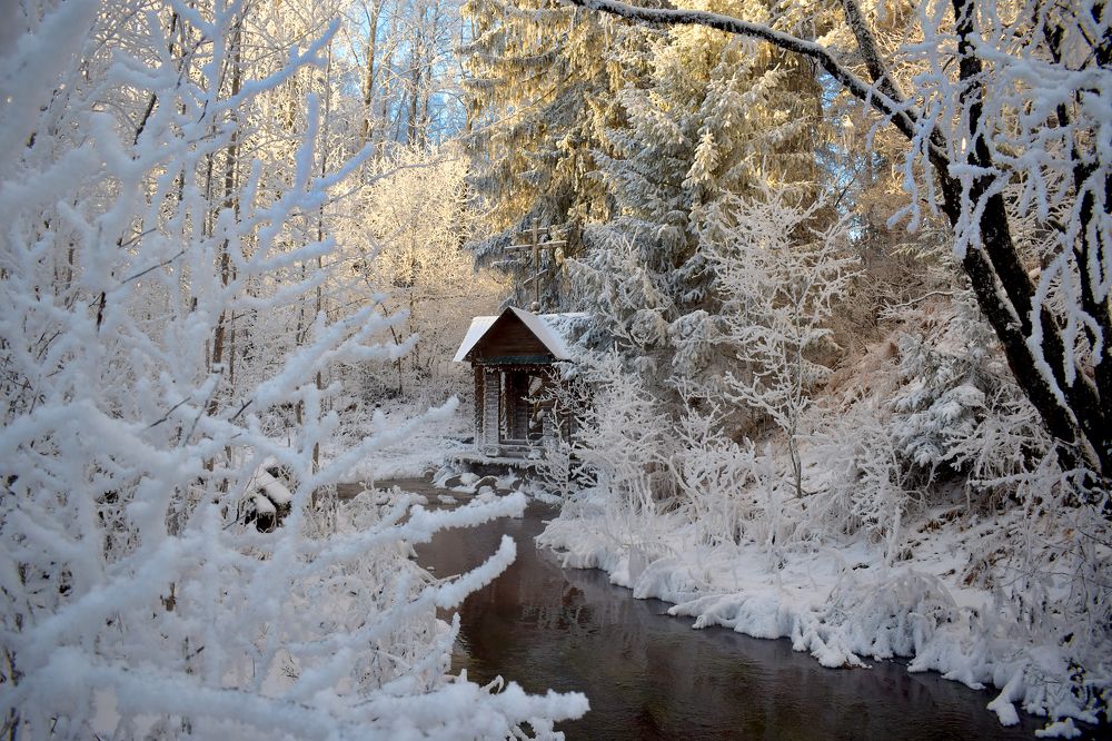 Фотография автора Оксана Льдинина