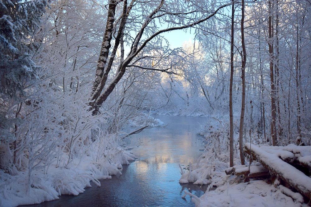 Фотография автора Оксана Льдинина