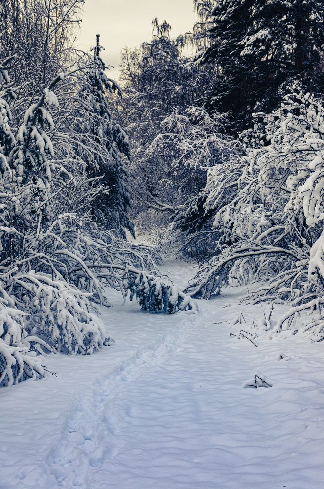 Photograph by Кирилл Шарапов