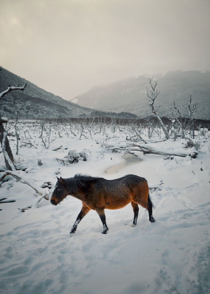 Photograph by Jauke