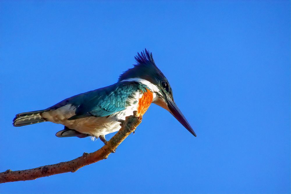 Photograph by Marcelo Luzzi