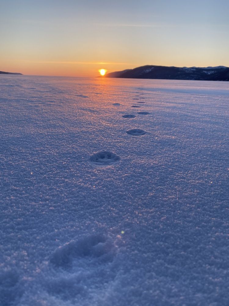 Фотография автора Наталья Вертугина