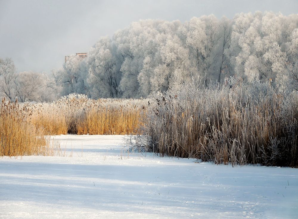 Фотография автора Роман Савоцкий