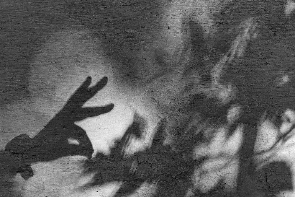 Photograph by SRIMANTA RAY