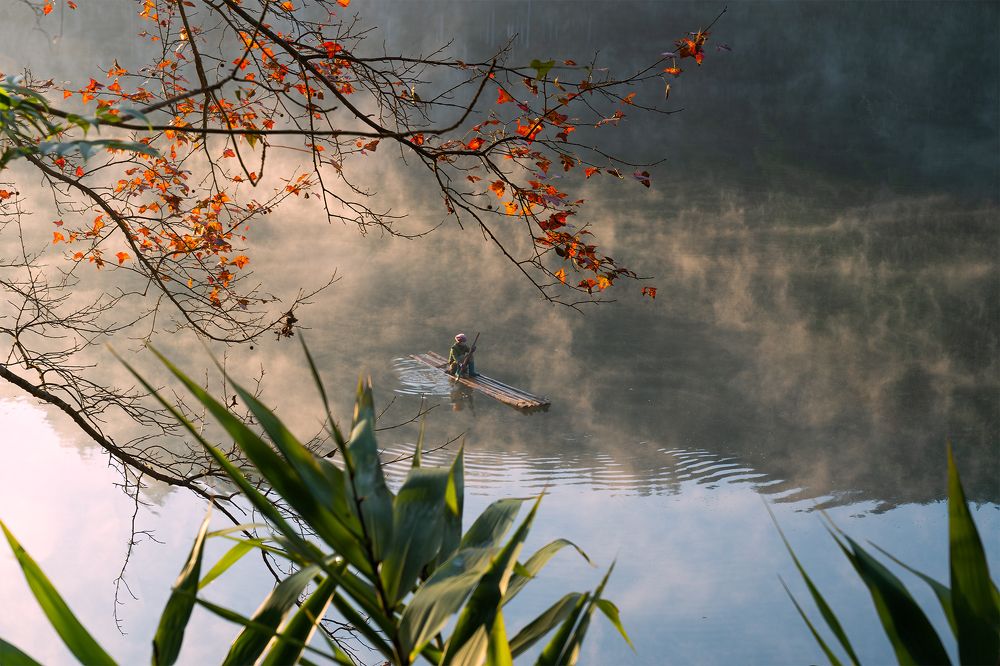 Photograph by MT-nguyen