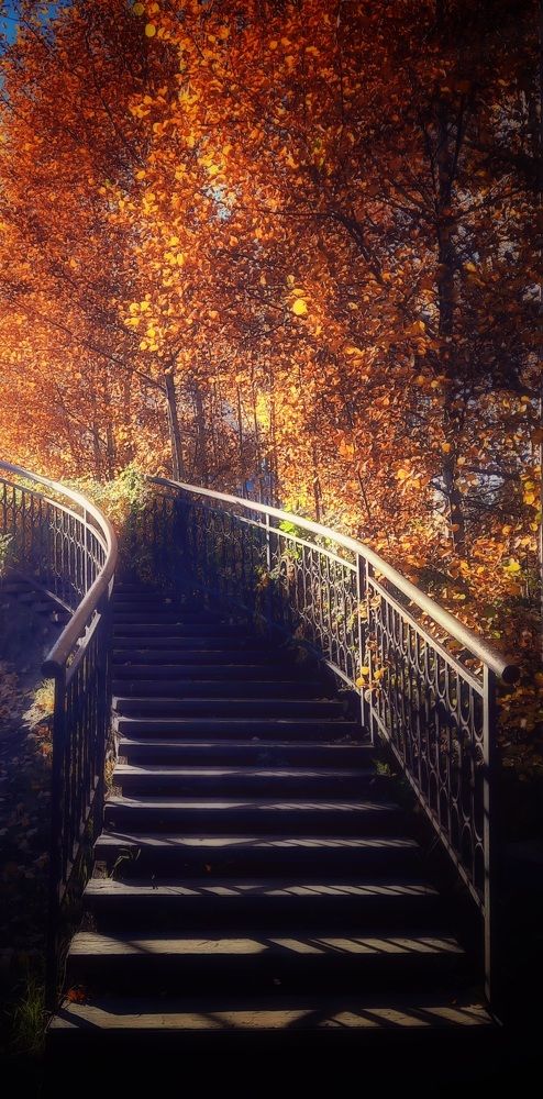 Краски осени