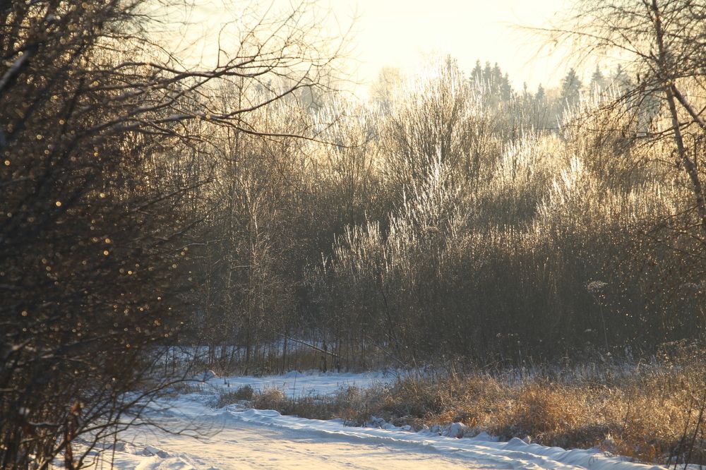 Photograph by Олеся Жакова