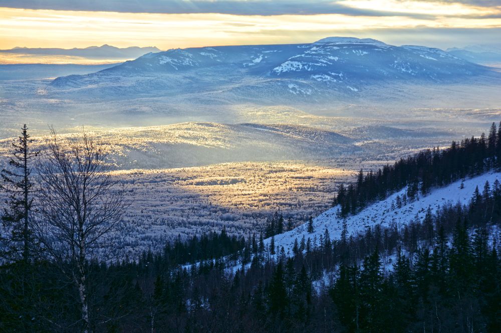 Photograph by Оксана Моргунова