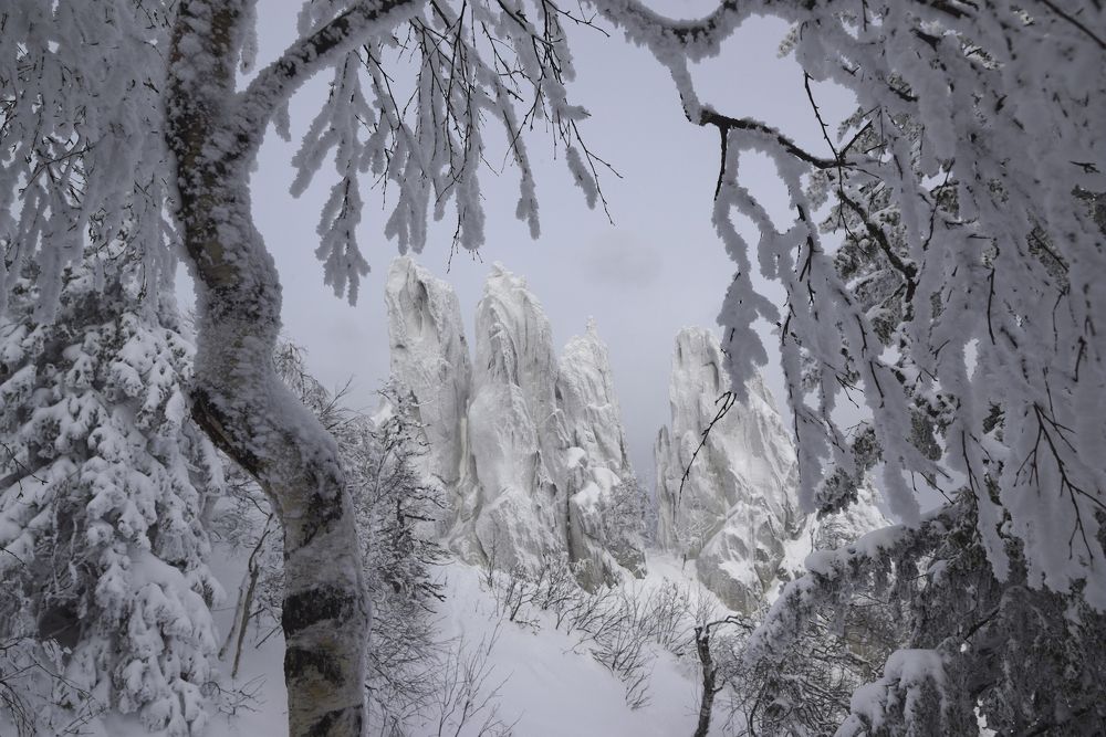 Photograph by Дмитрий Цыпляев