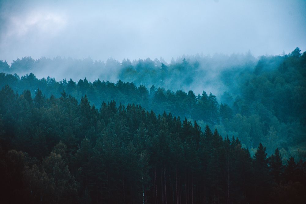 Photograph by Оксана Моргунова