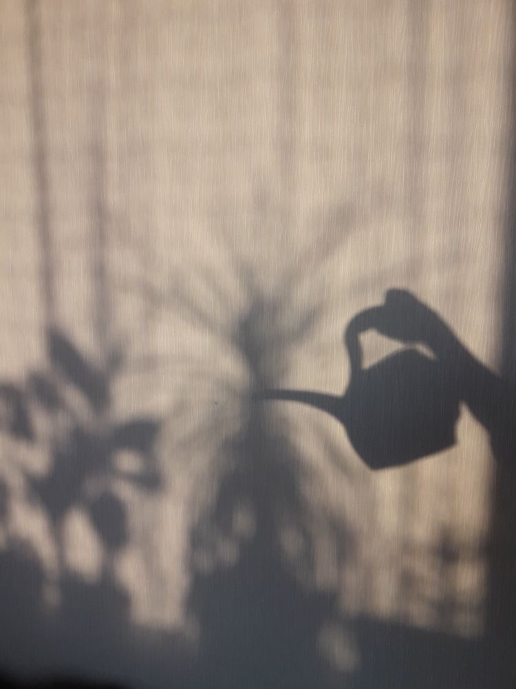 Photograph by Елена Алешкевич