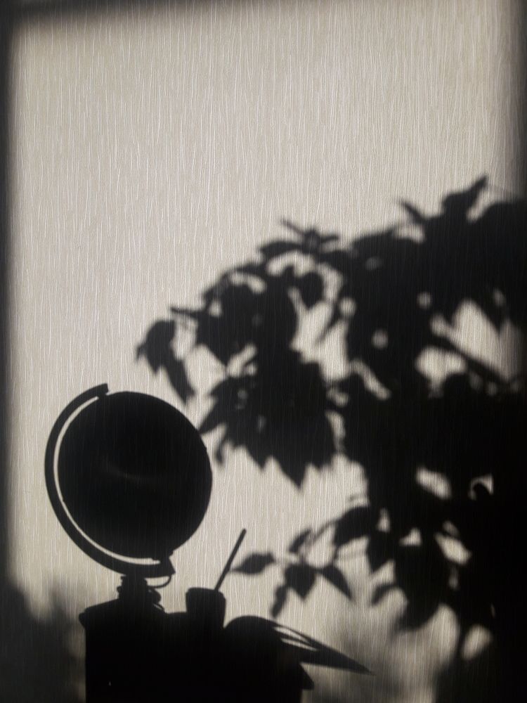 Photograph by Елена Алешкевич