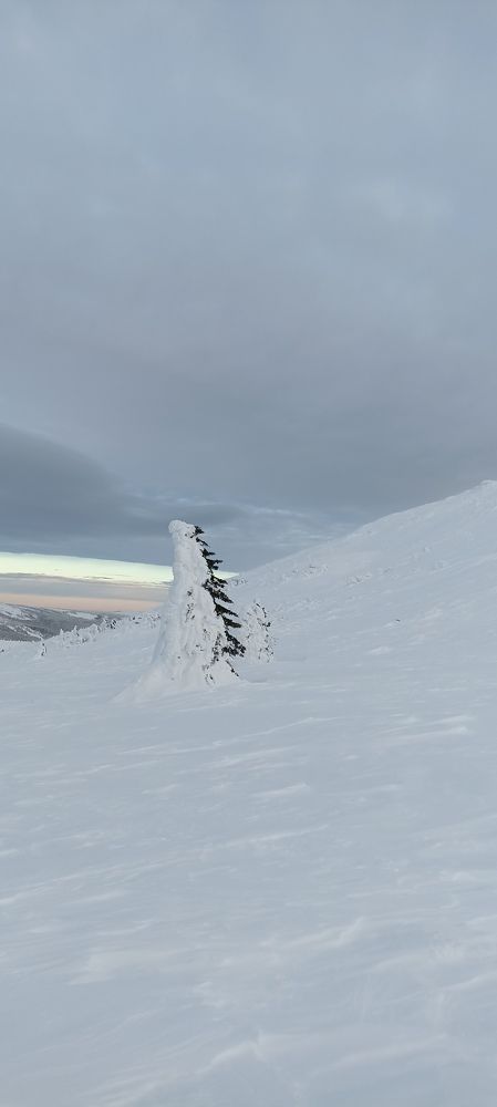 Photo #8479070