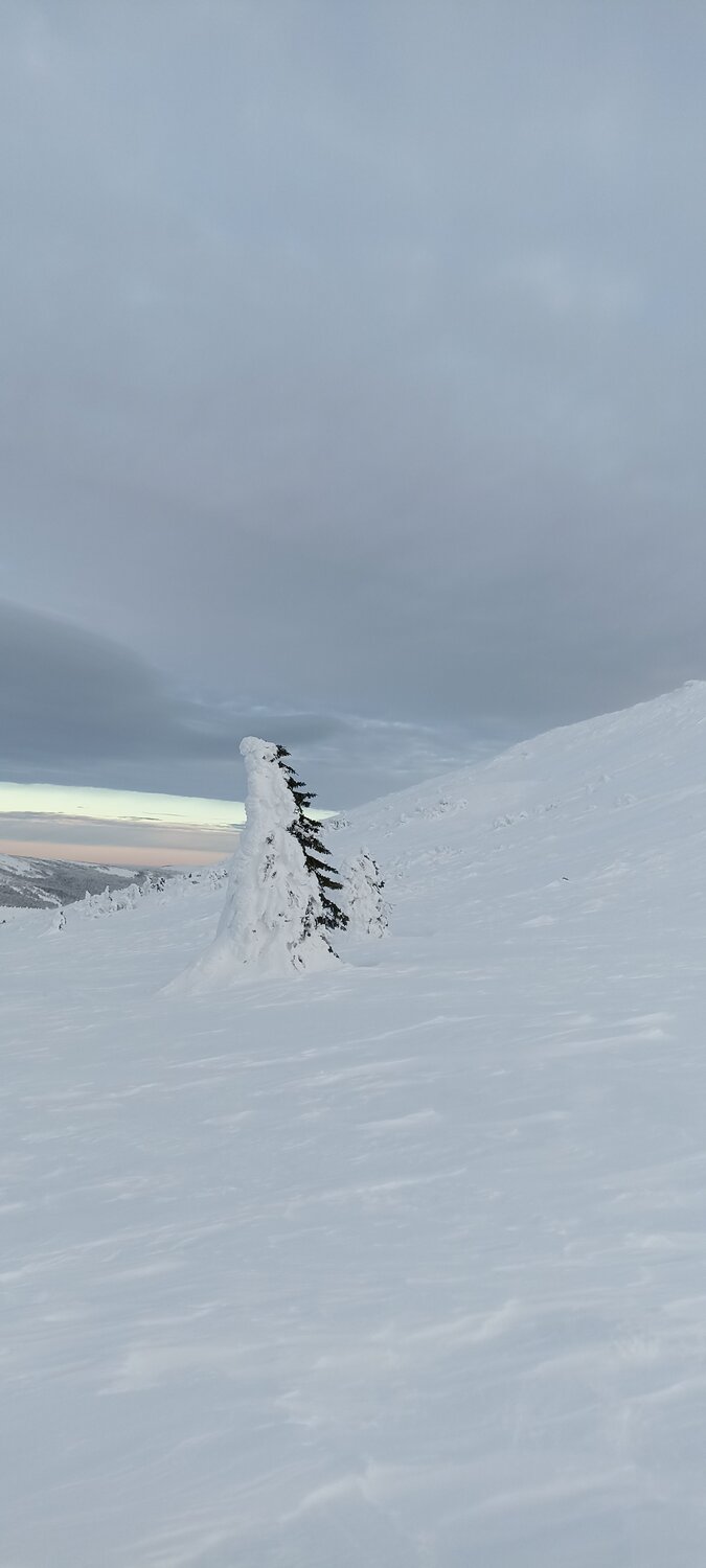 Photo #8479070