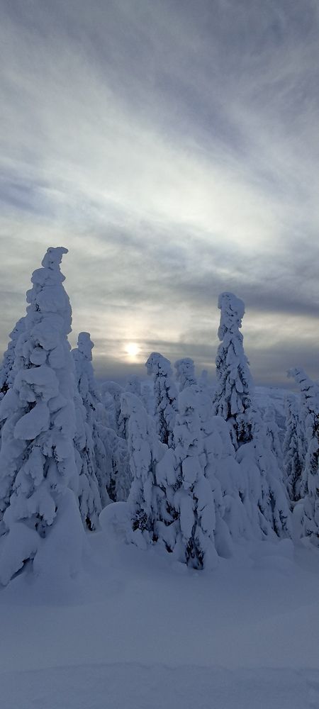 Photo #8479079