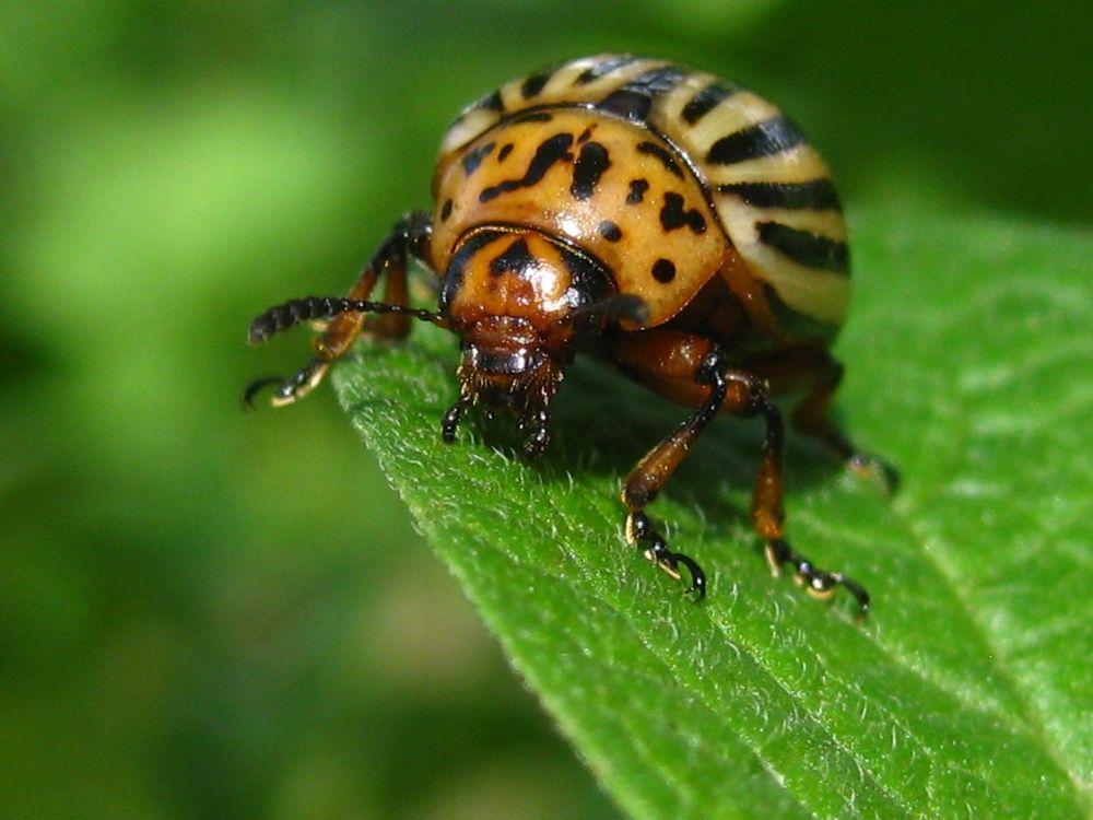 Photograph by Елена Смирнова