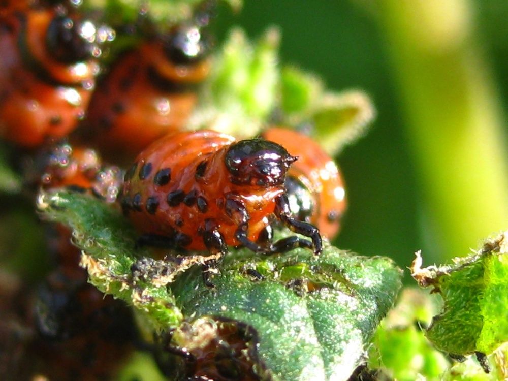 Photograph by Елена Смирнова