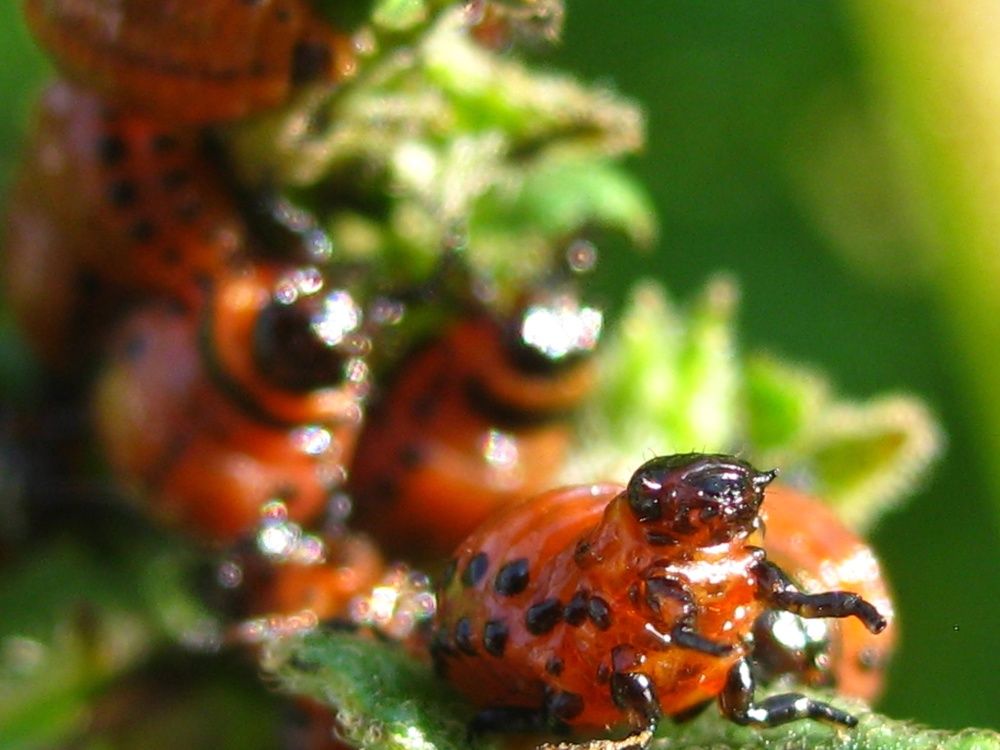 Photograph by Елена Смирнова