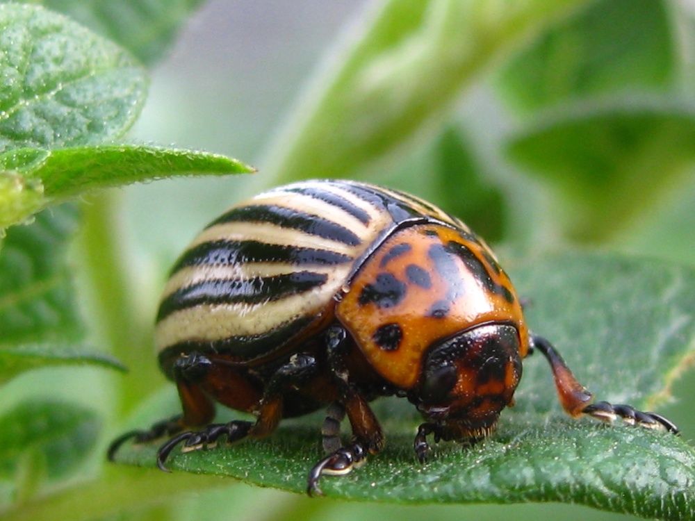 Photograph by Елена Смирнова