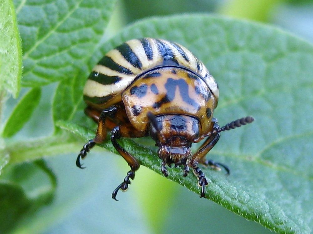 Photograph by Елена Смирнова