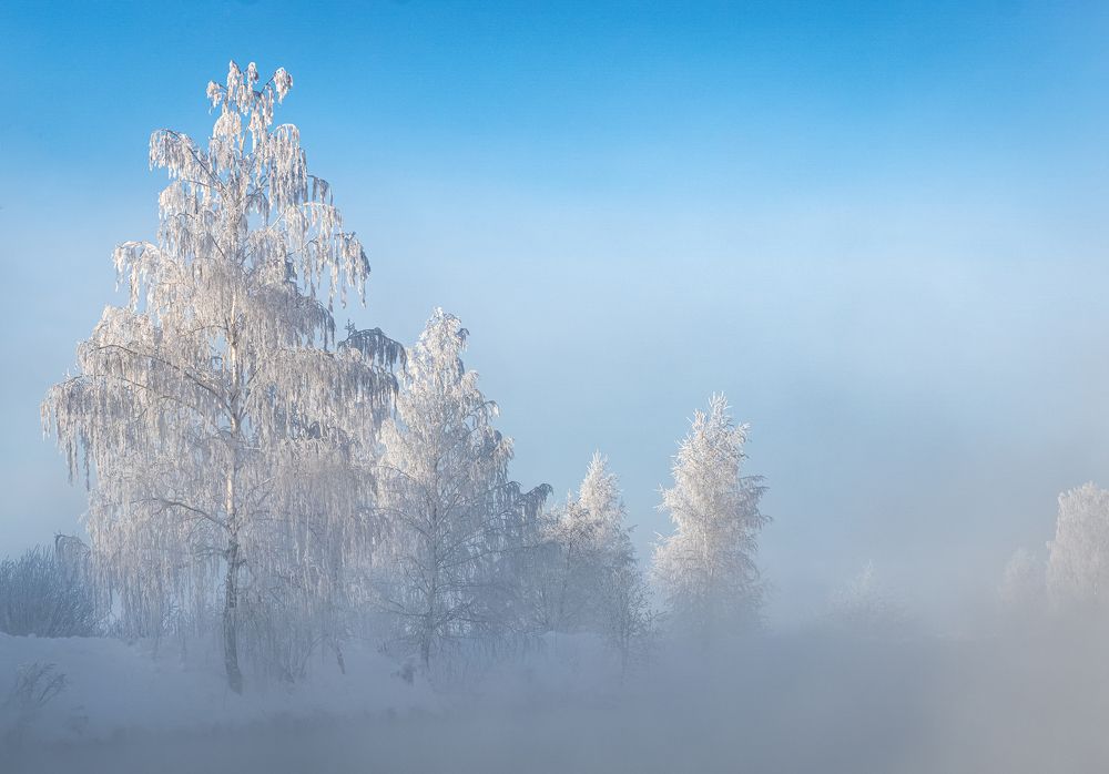 Фотография автора Александр Рудный