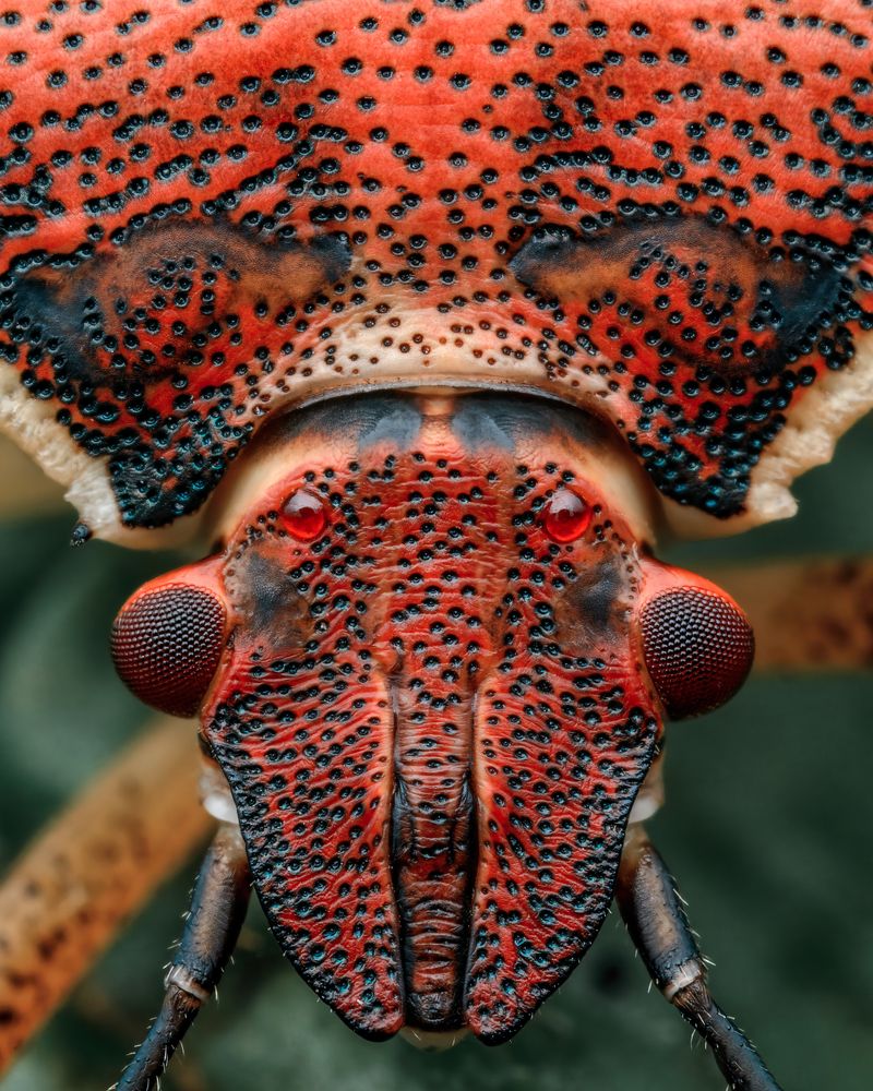 Photograph by Роман Фадеев