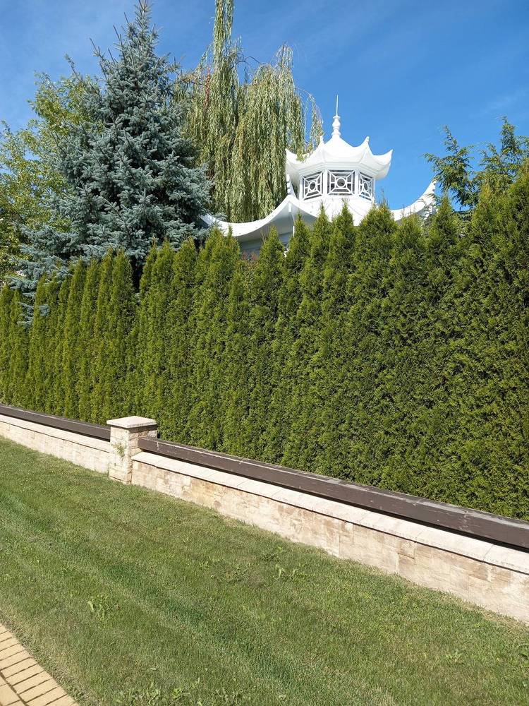 Miĺlenium Park