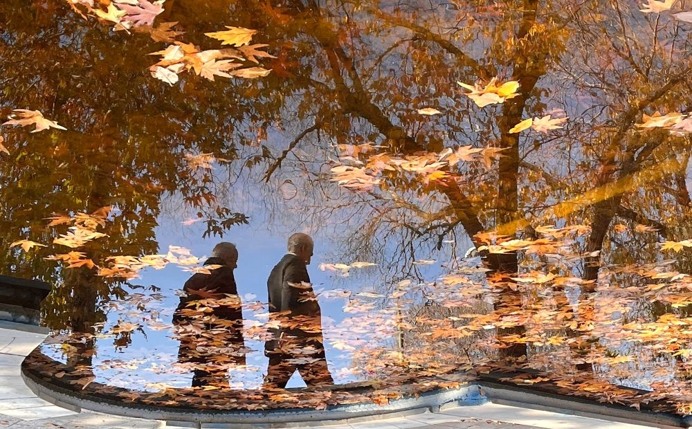 Photograph by amin Sharafiani