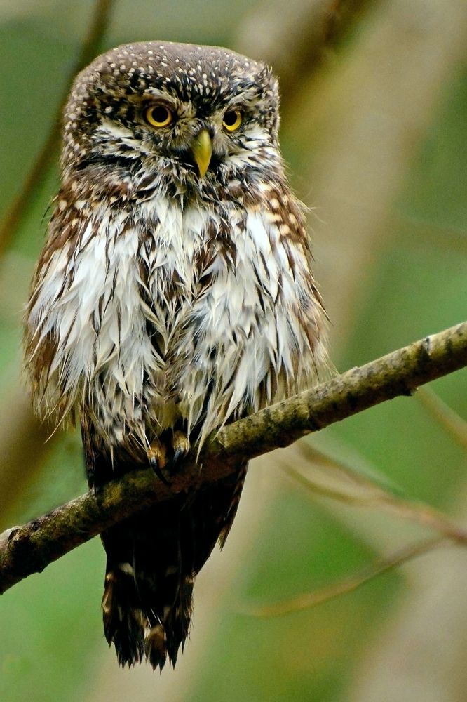 Photograph by Владислав Иопек