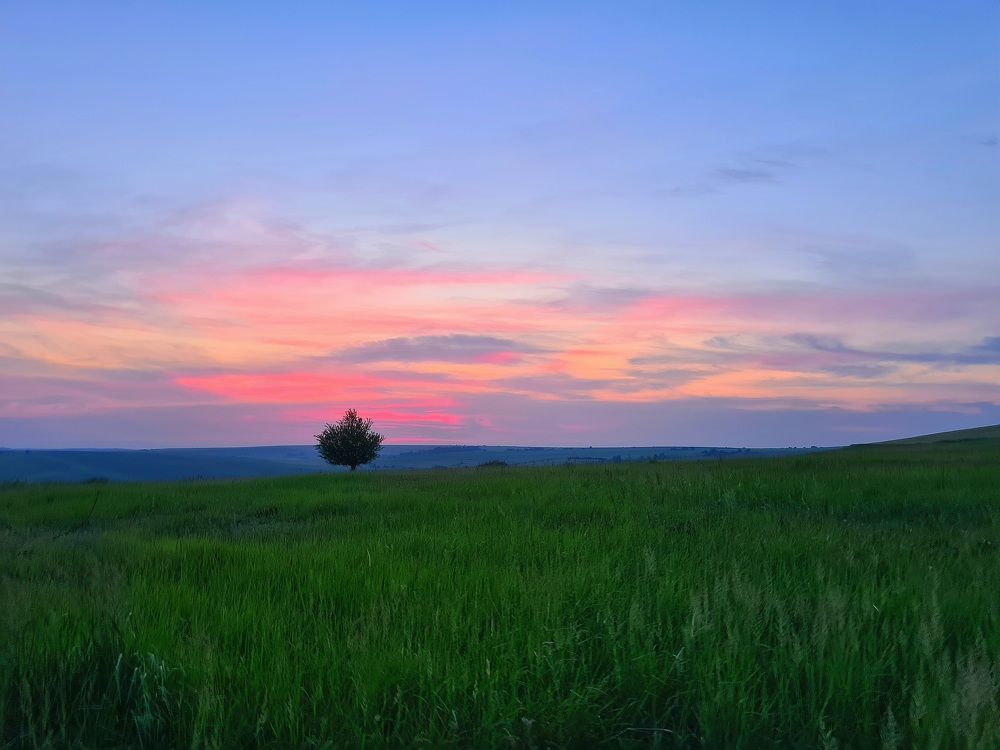 Photograph by Елена Квасова