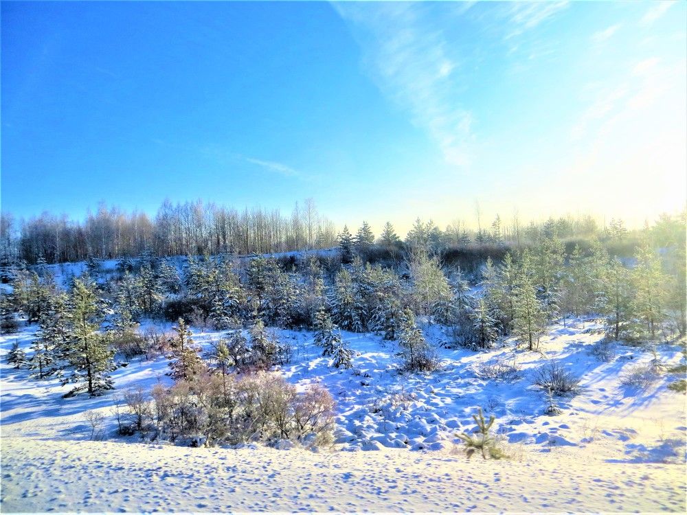 Photograph by Галина