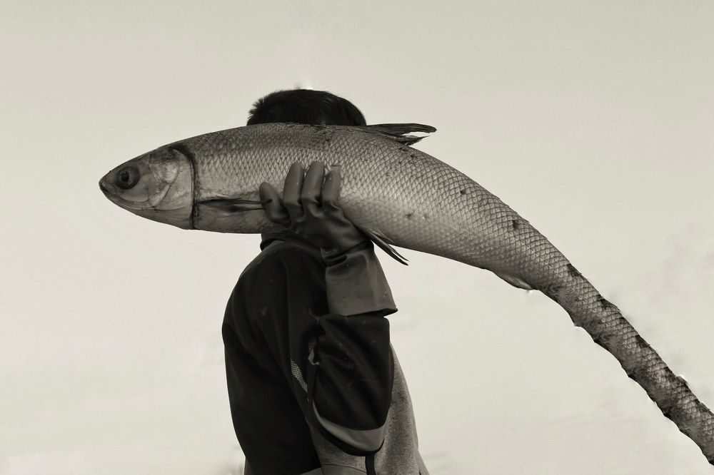 Photograph by Homayoun hosseini