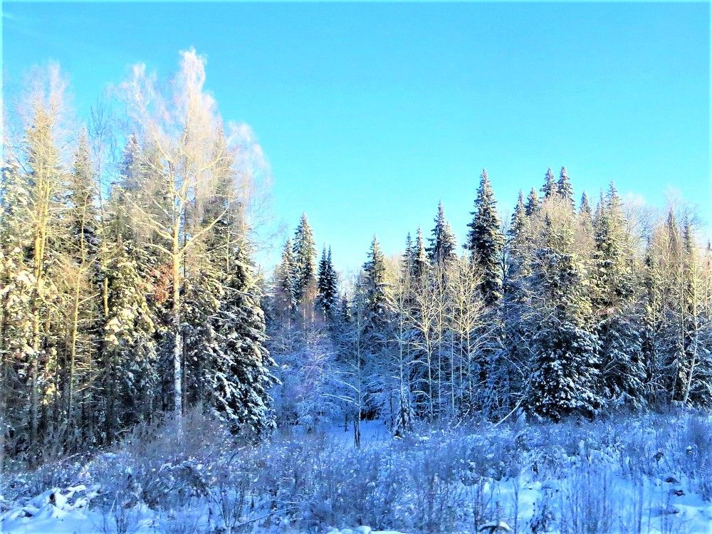 Photograph by Галина