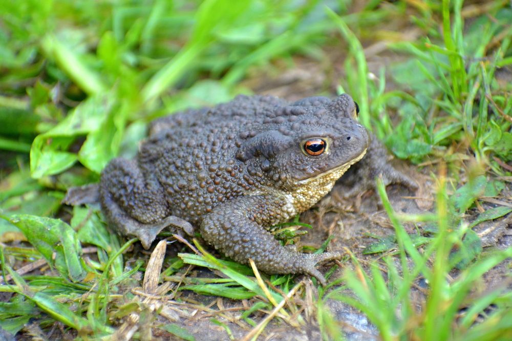 Photograph by Владислав Иопек