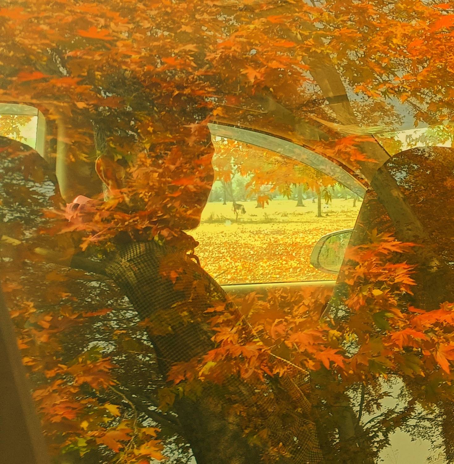 Photo #8479220